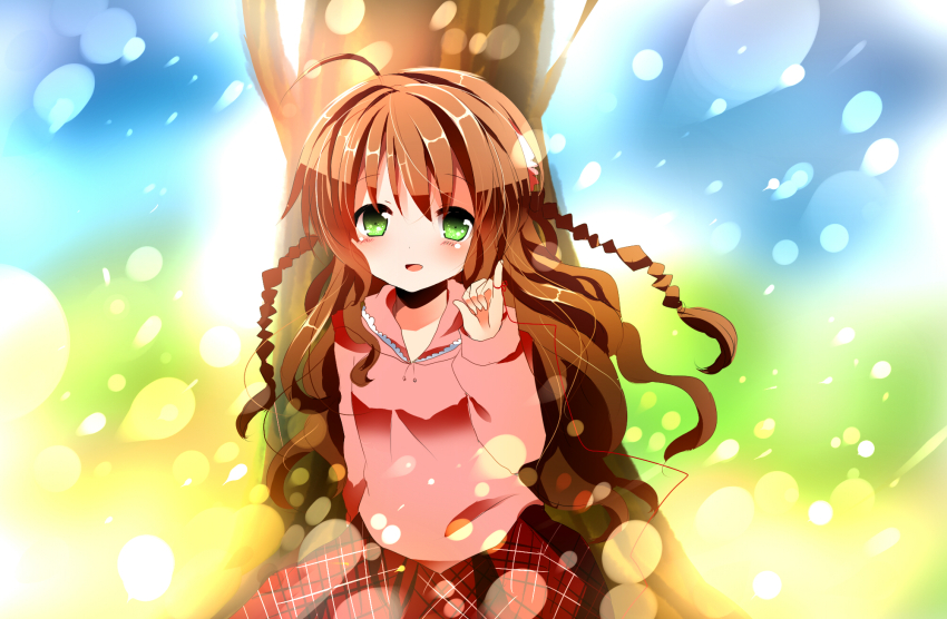 Sample image