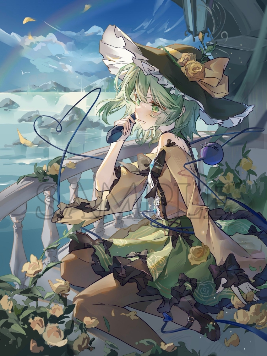 Sample image