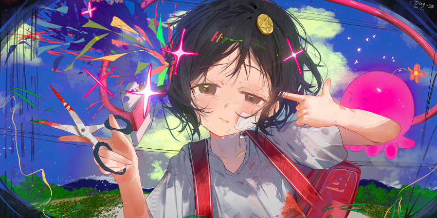 Sample image