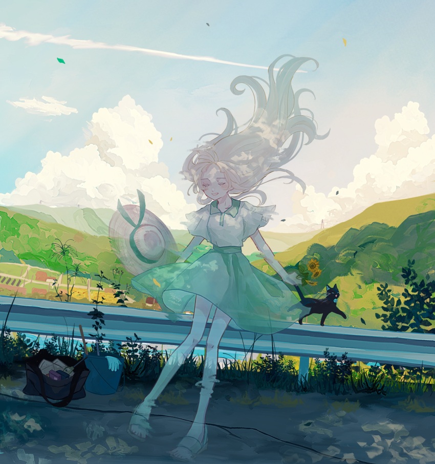 Sample image