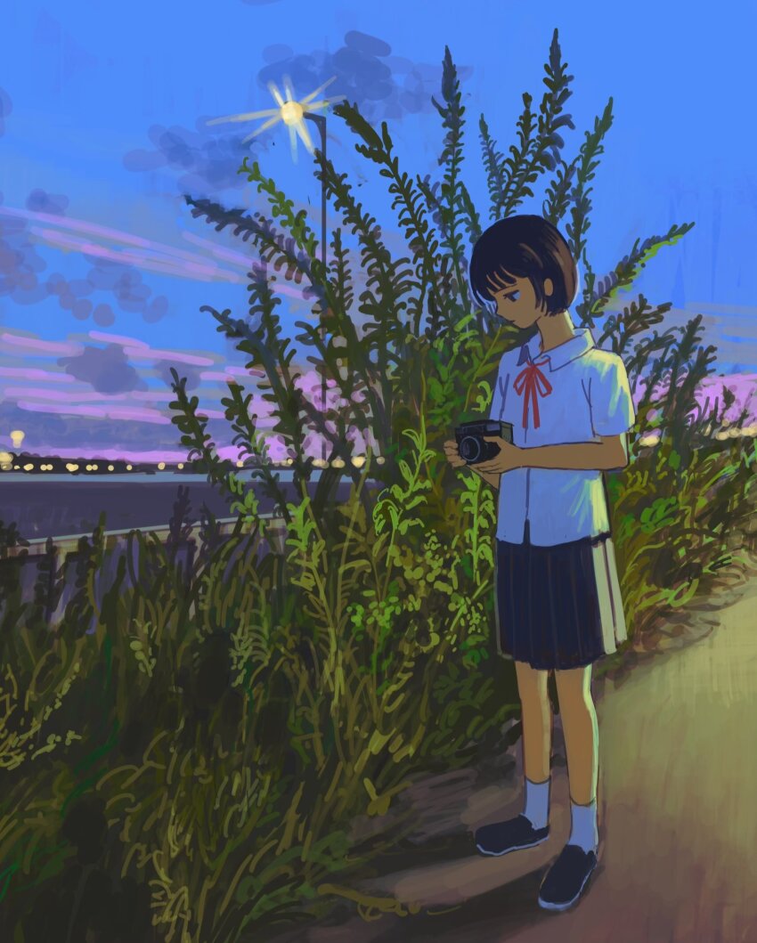 Sample image
