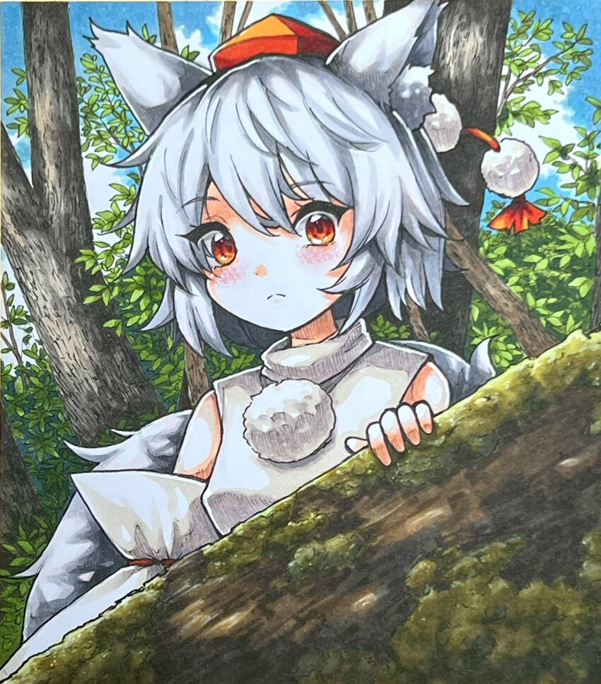 Sample image
