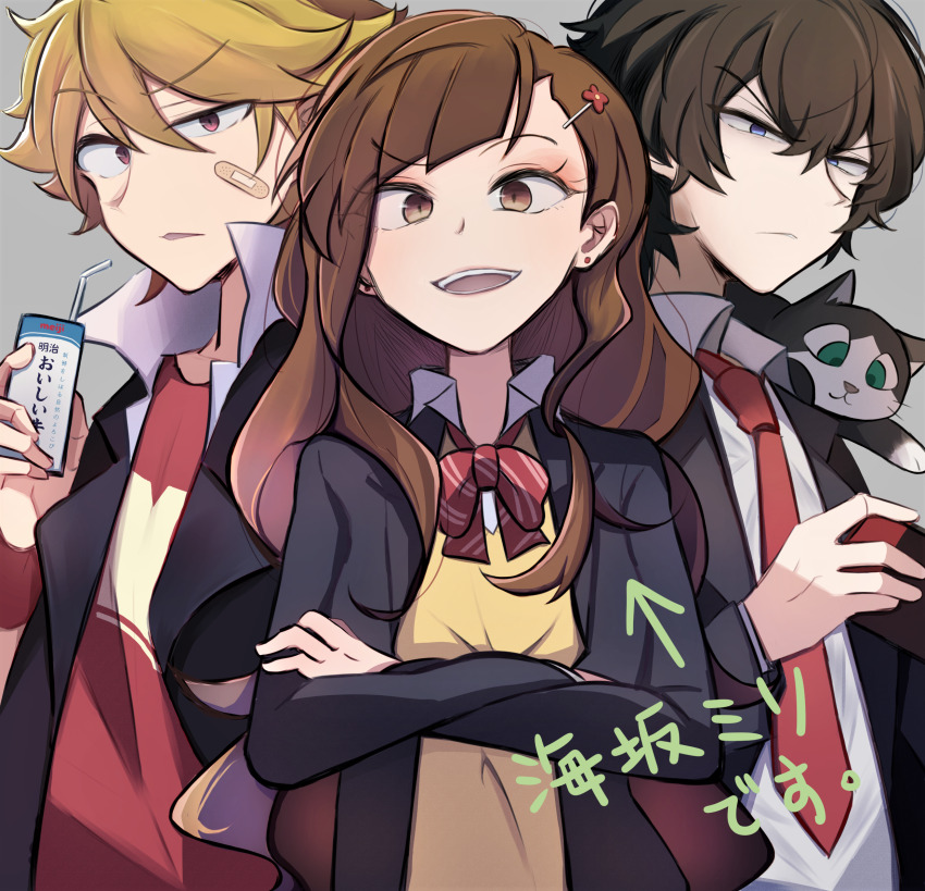 Sample image