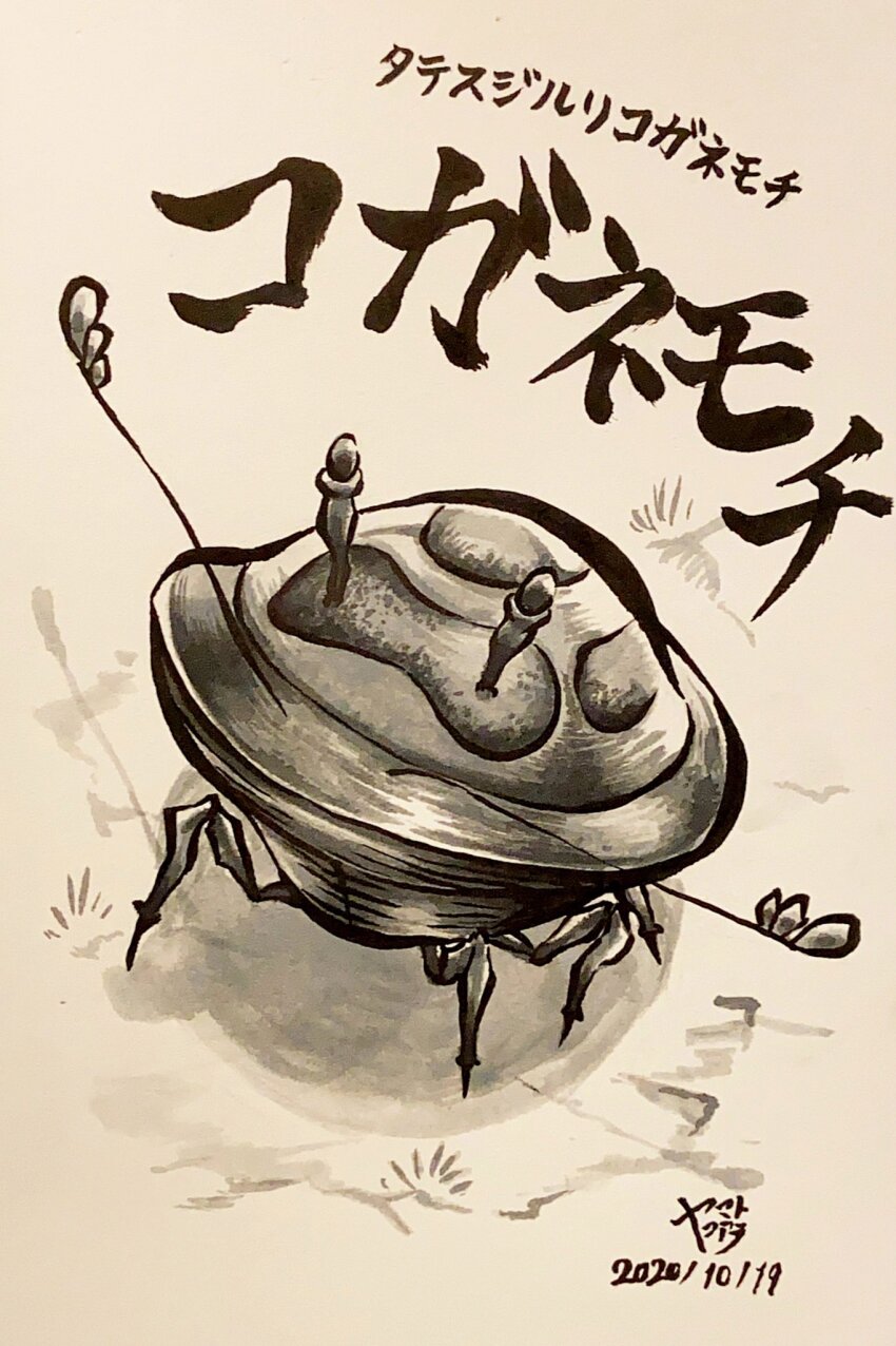 Sample image