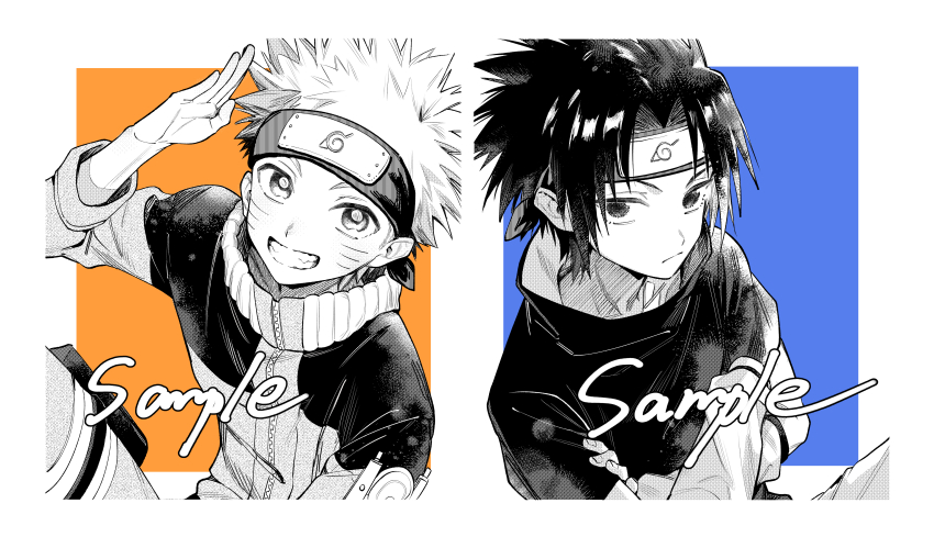 Sample image