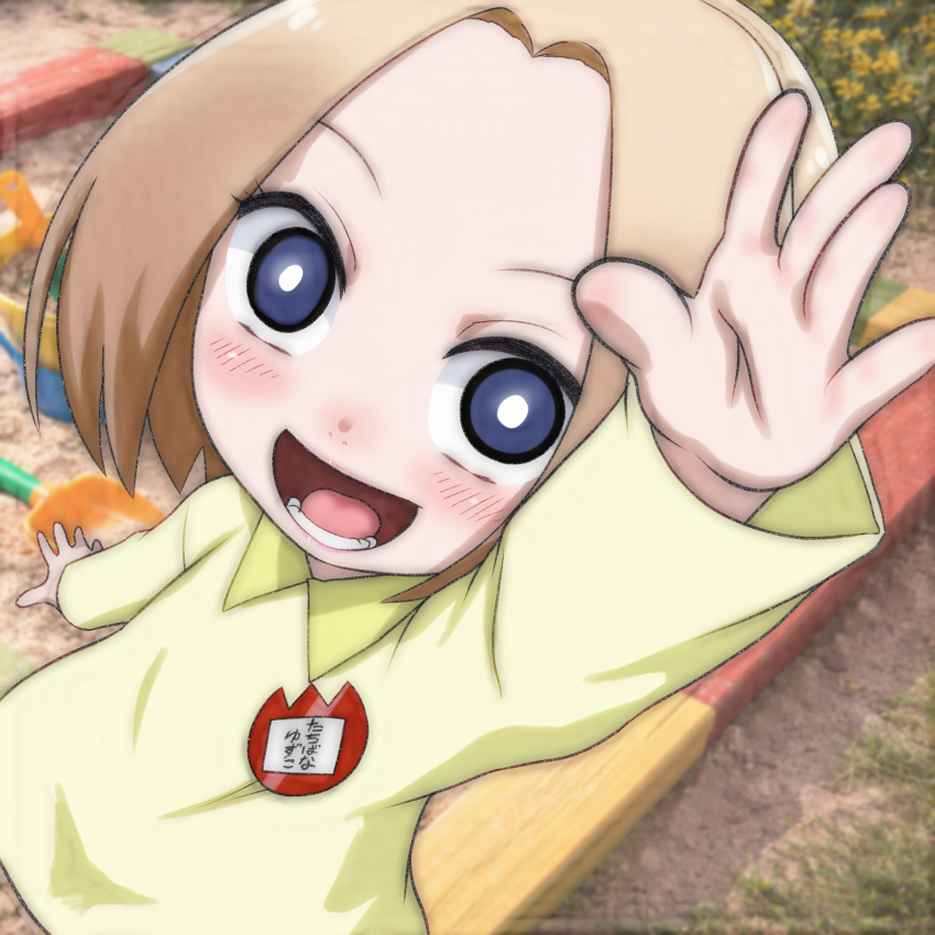 Sample image
