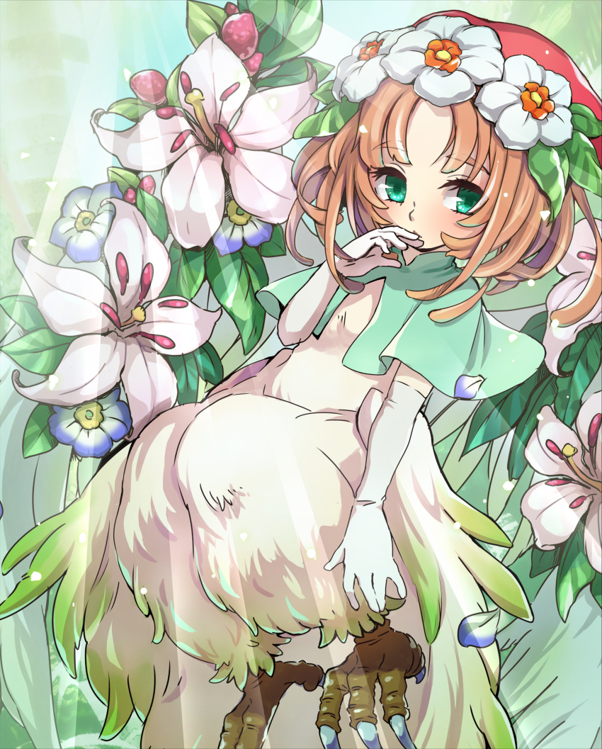 Sample image