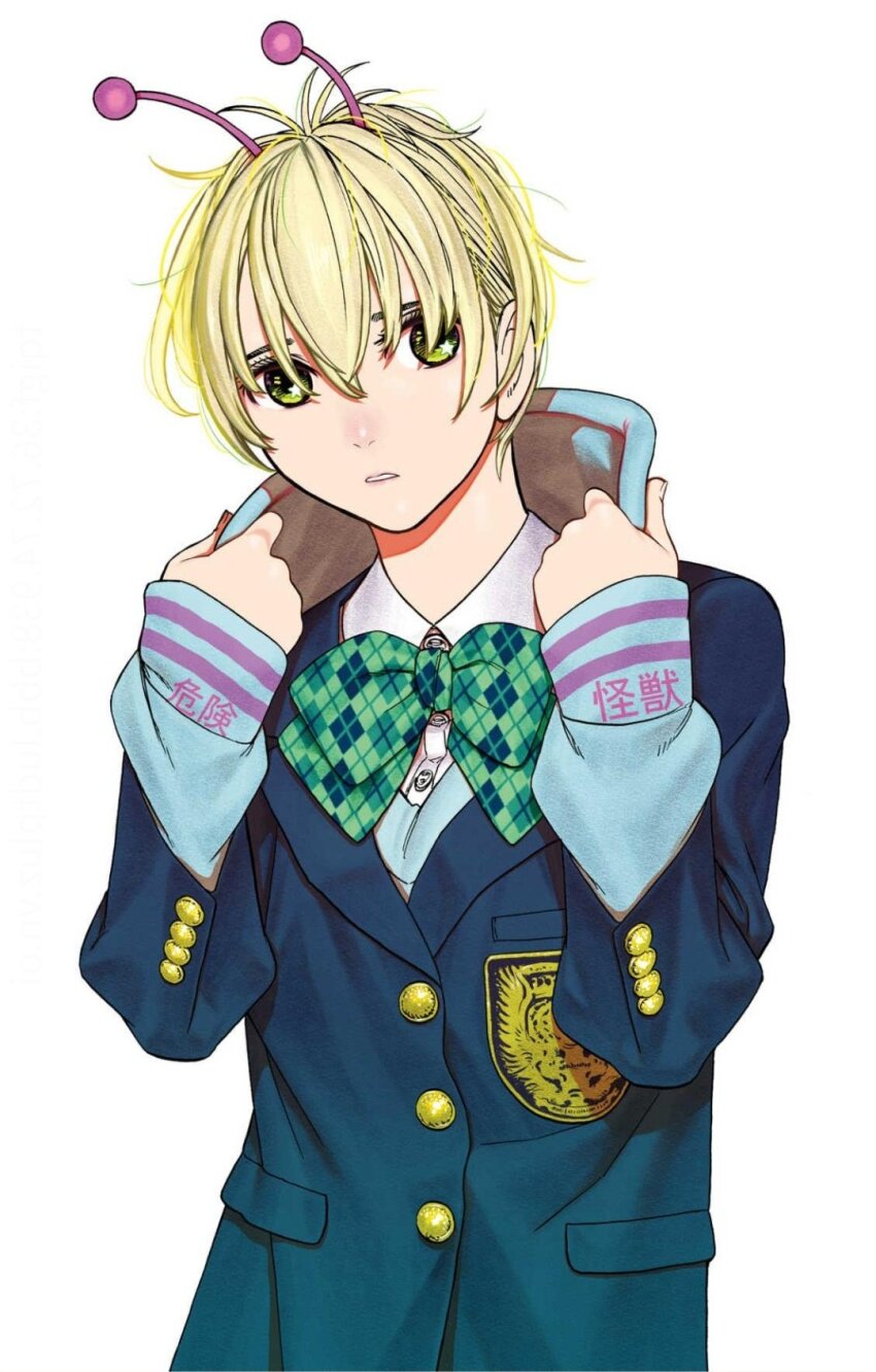 Sample image
