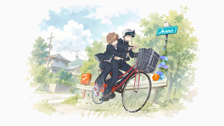 Sample image