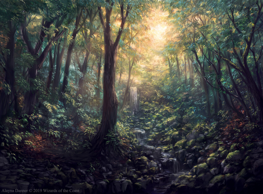 Sample image