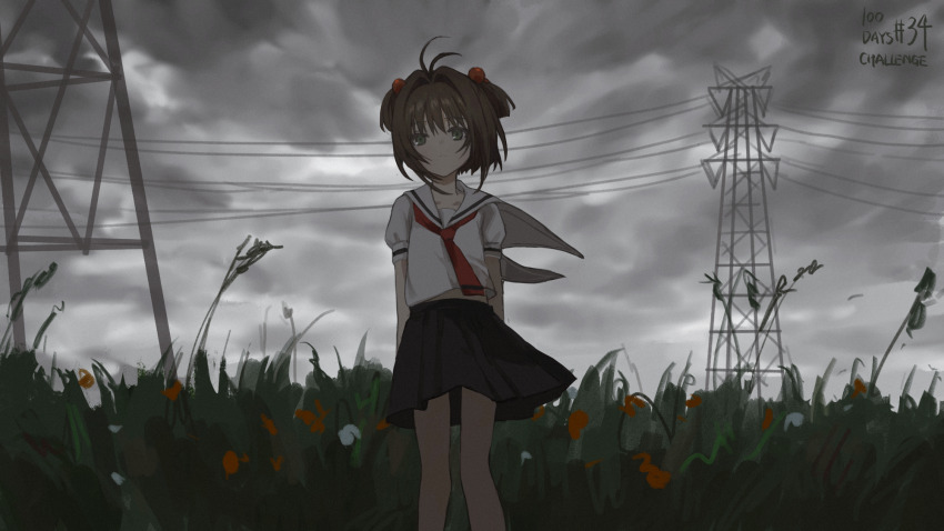 Sample image