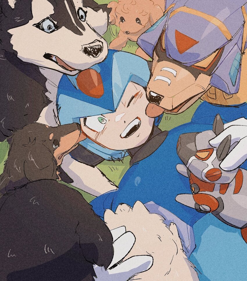 Sample image