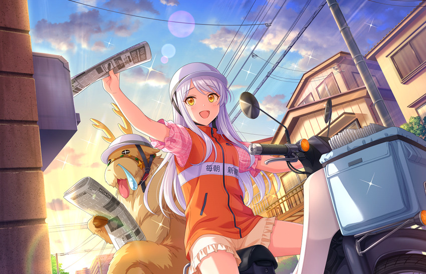Sample image