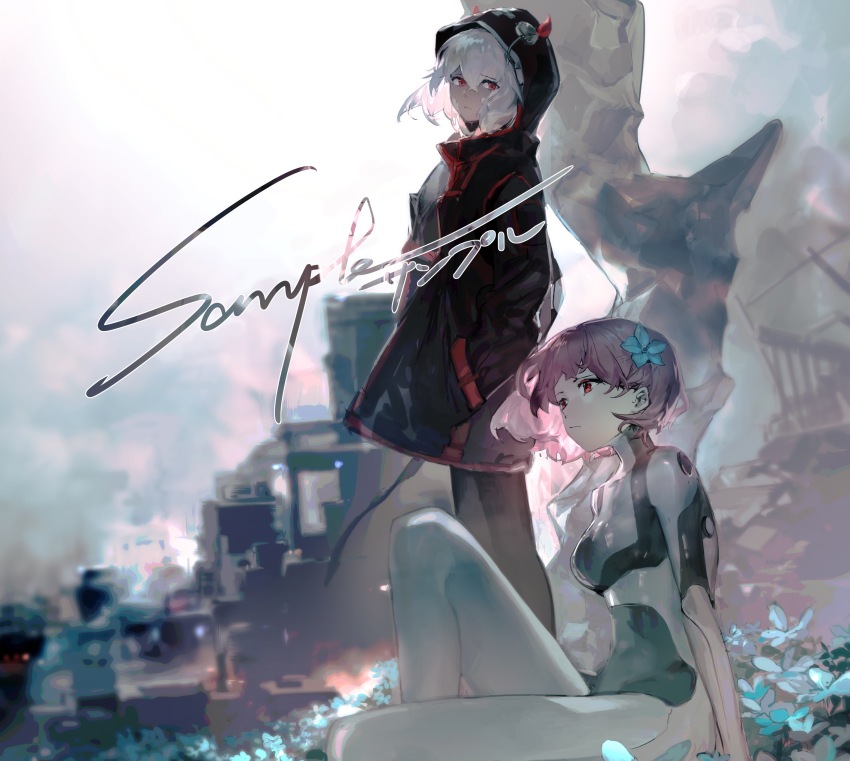Sample image