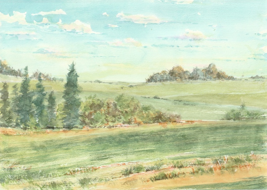 Sample image