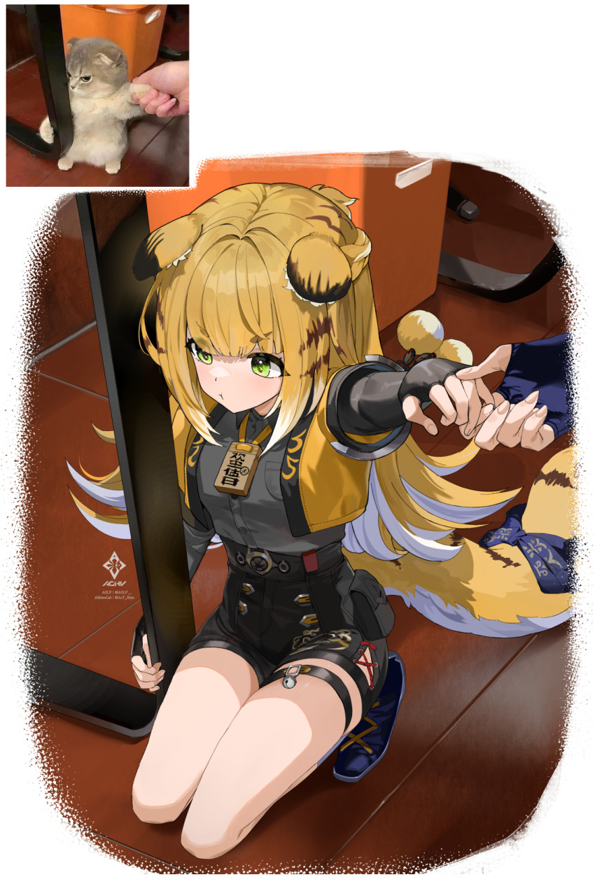 Sample image