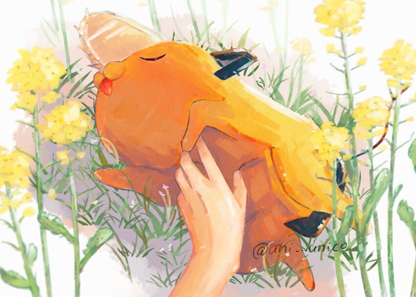 Sample image