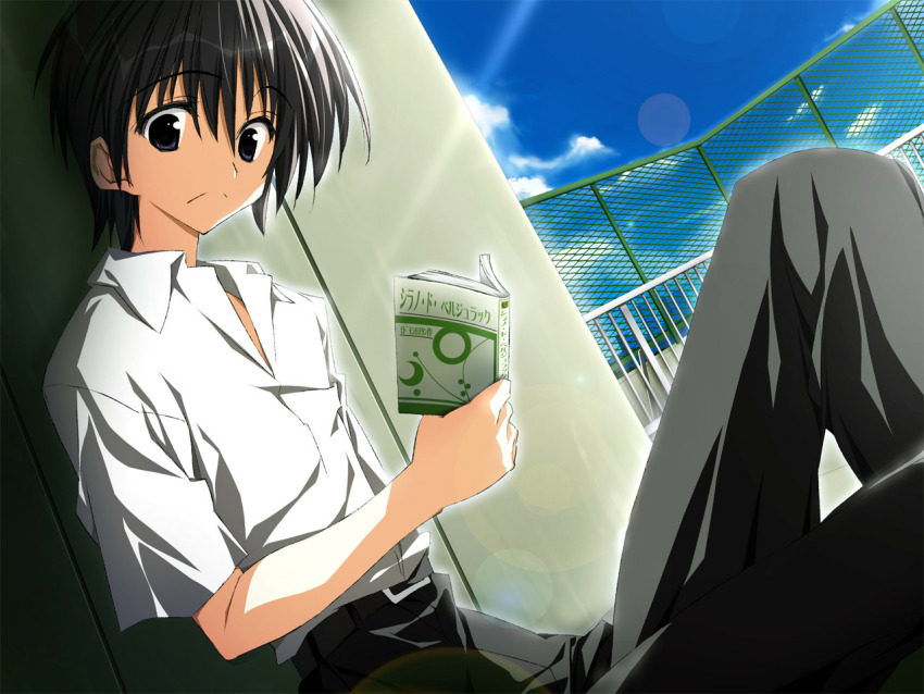 Sample image