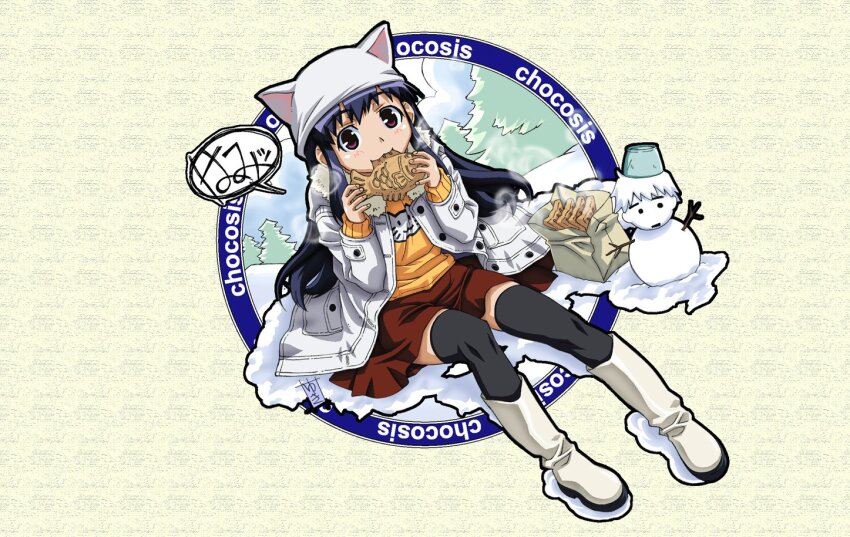 Sample image