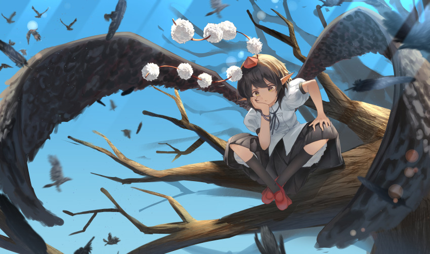 Sample image