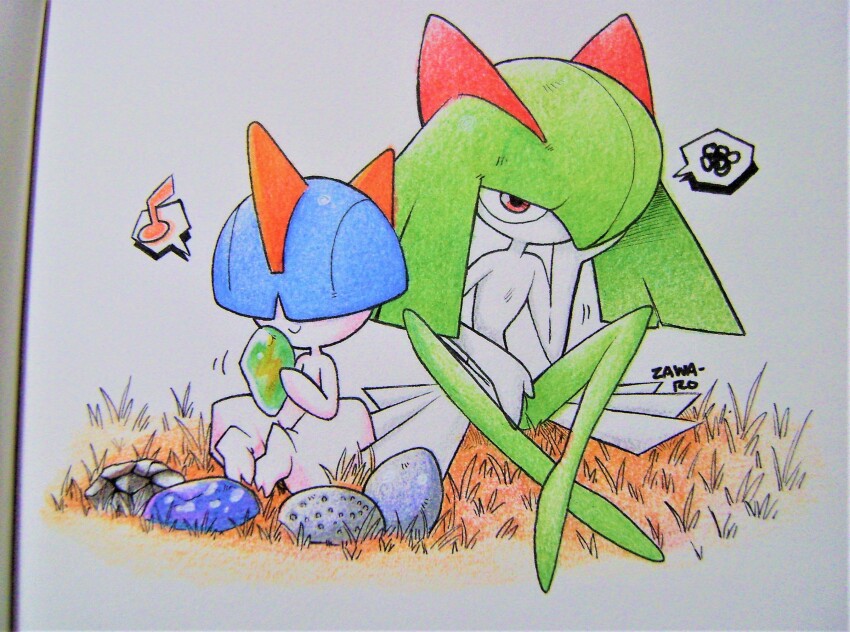 Sample image