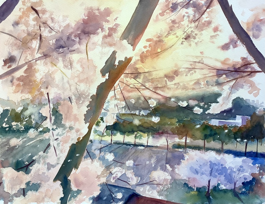 Sample image