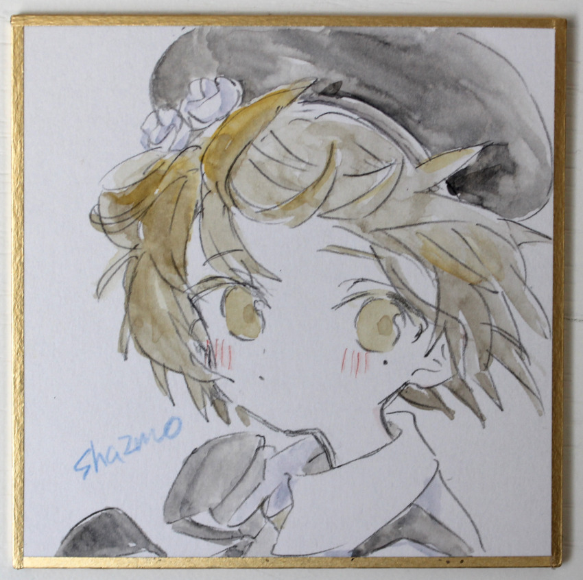 Sample image
