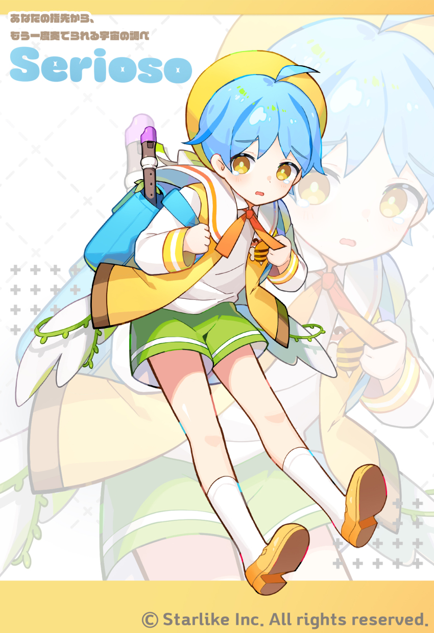 Sample image