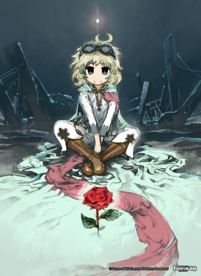 Sample image