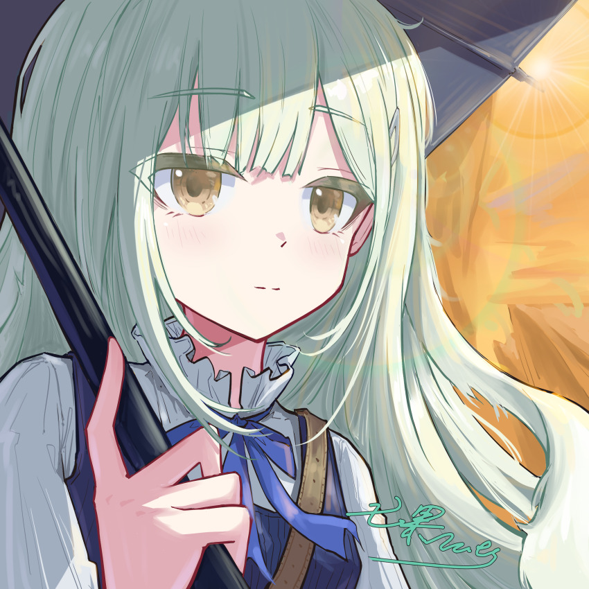 Sample image