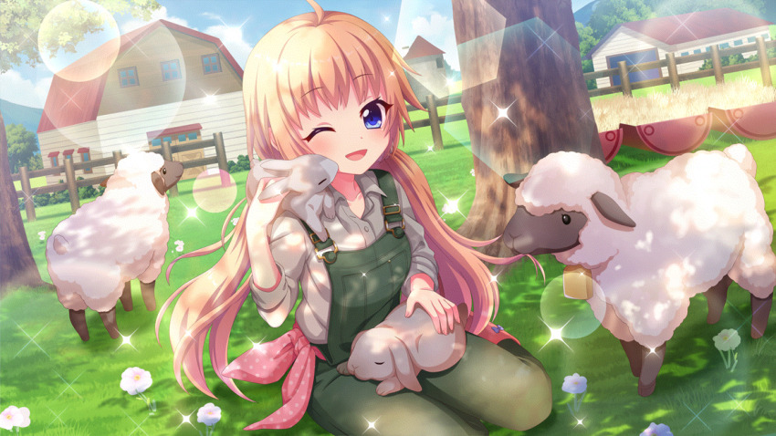 Sample image