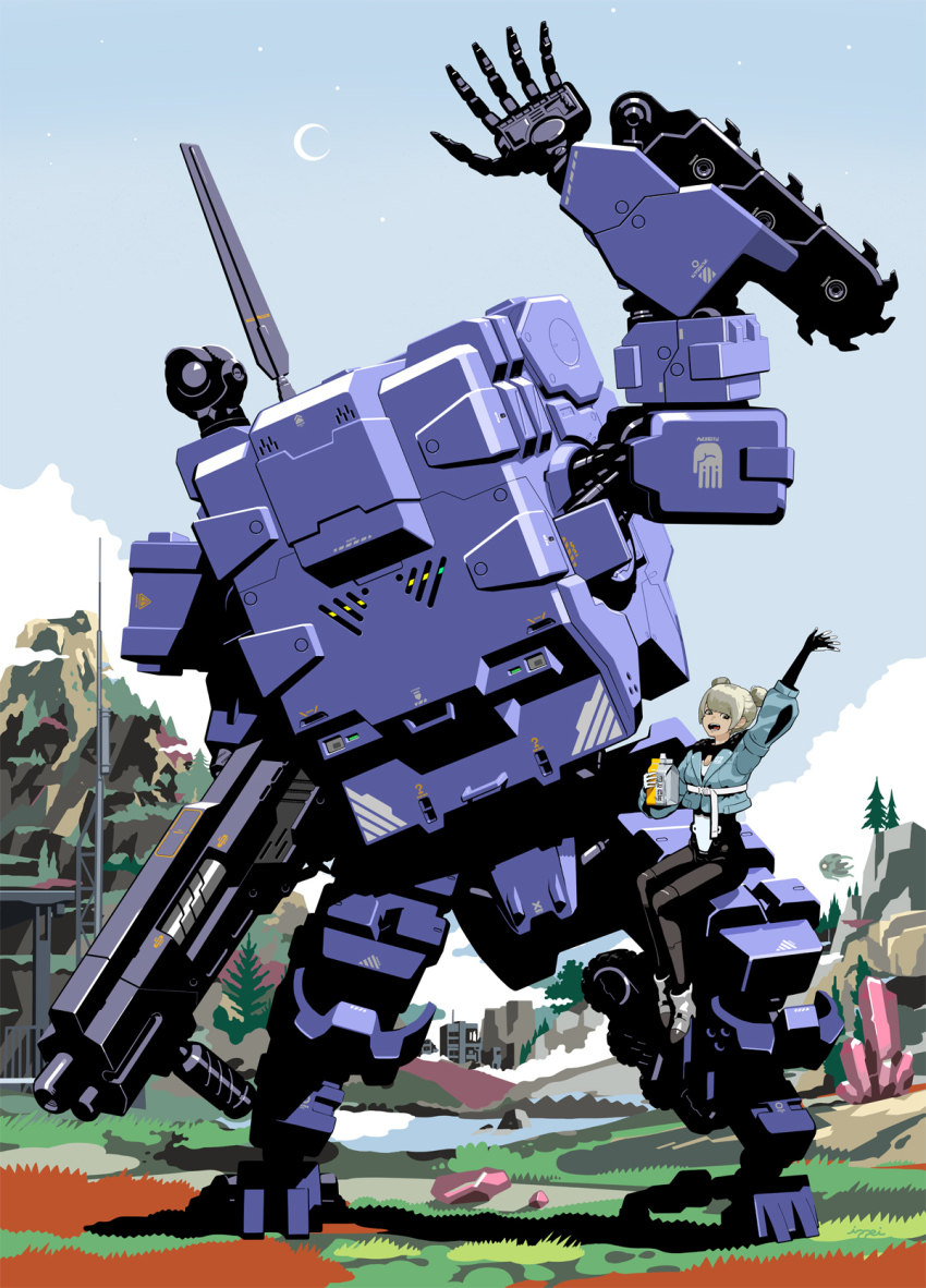 Sample image