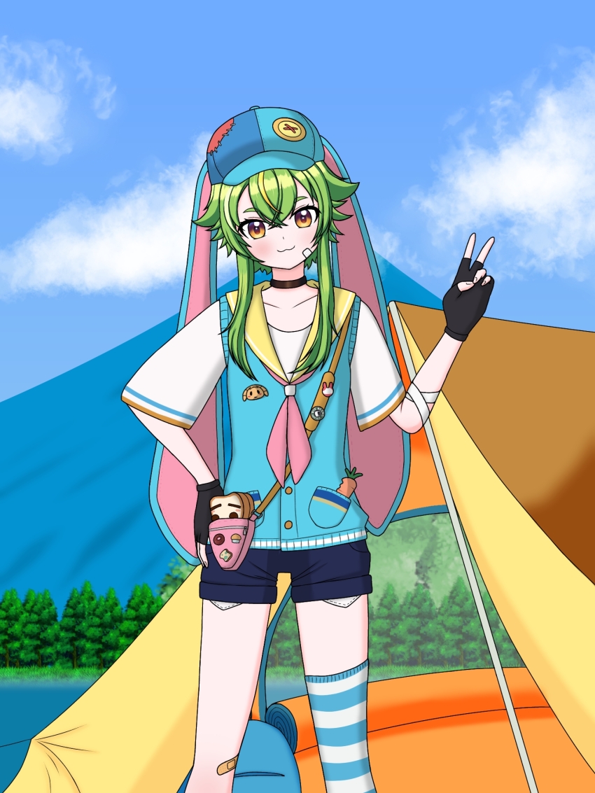 Sample image