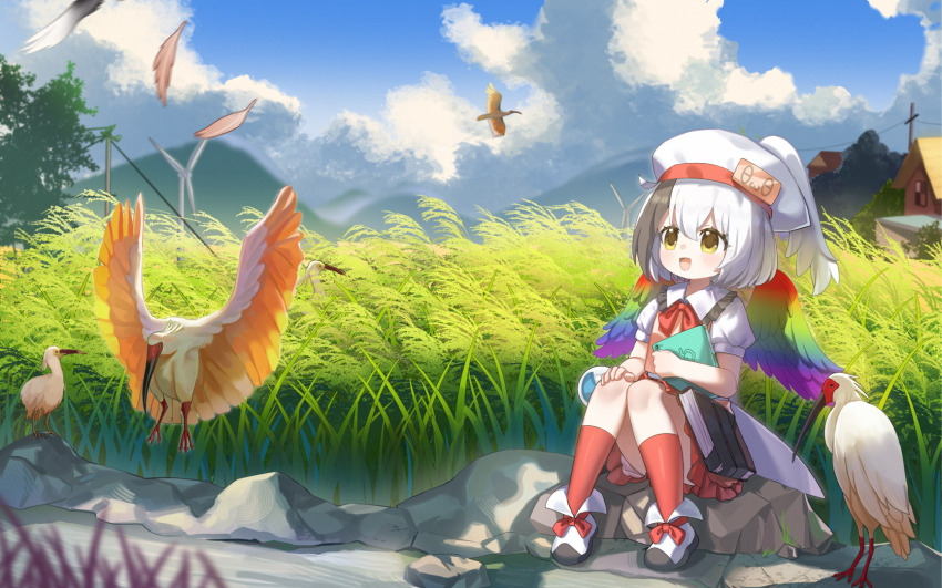 Sample image