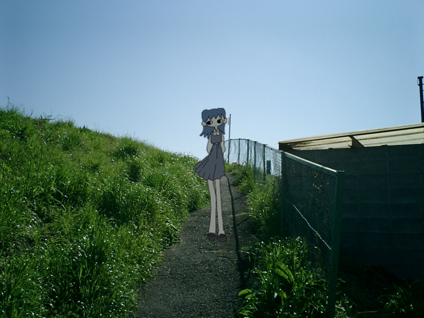 Sample image