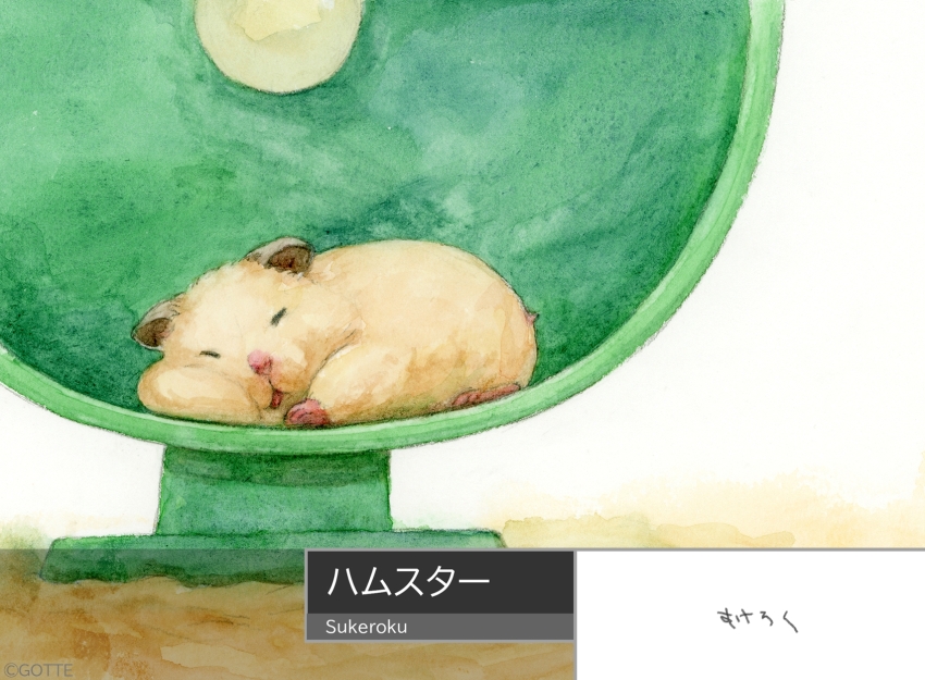 Sample image