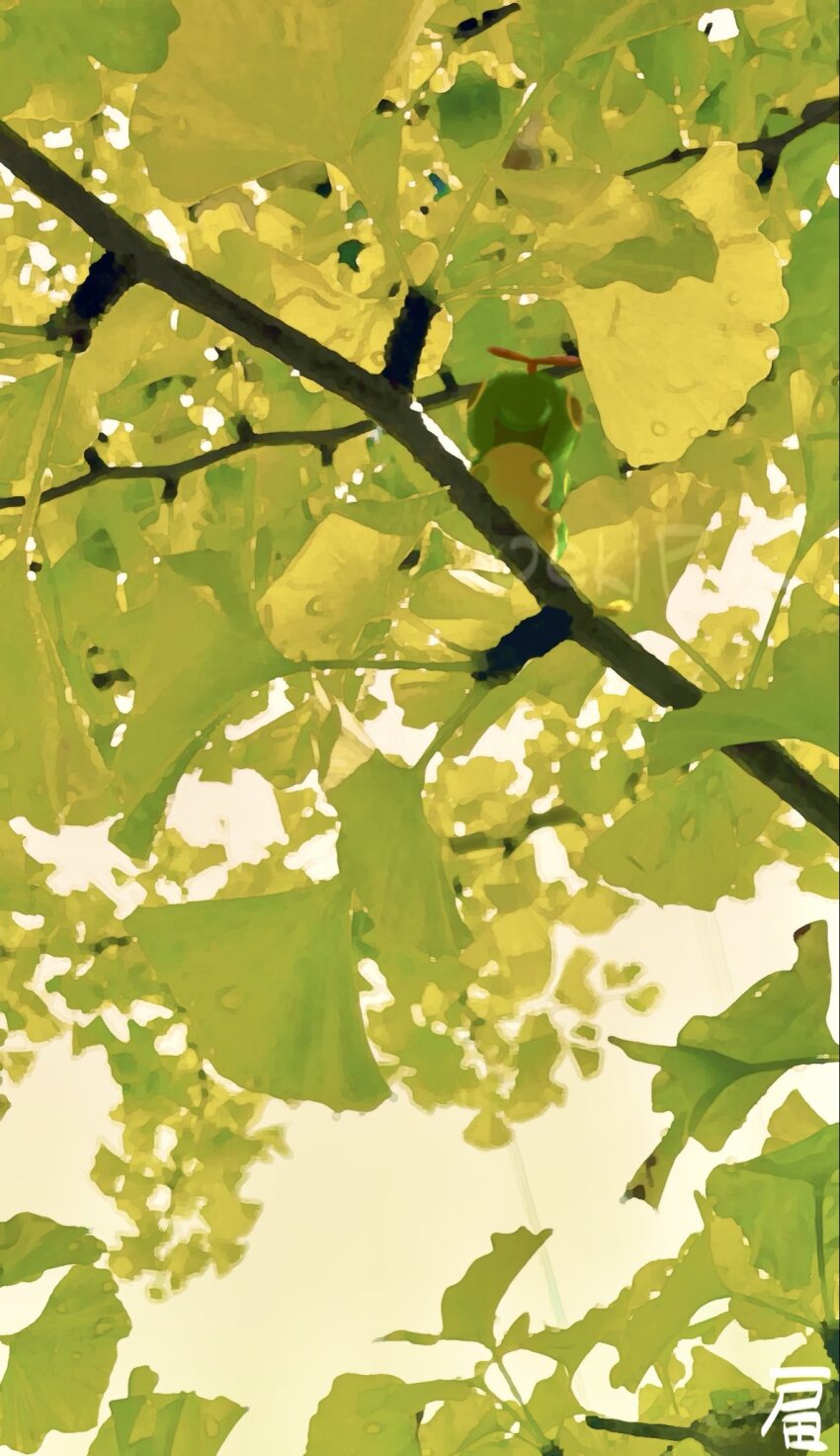 Sample image