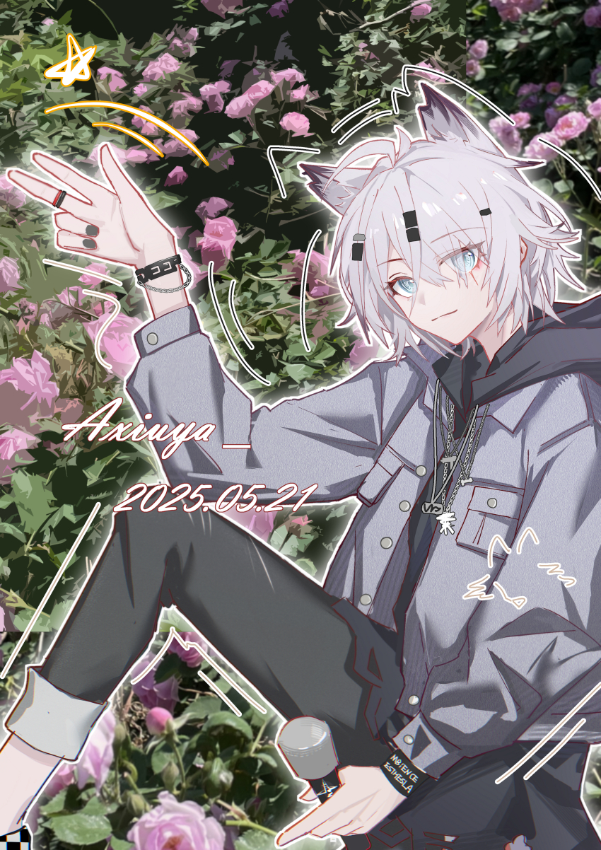 Sample image