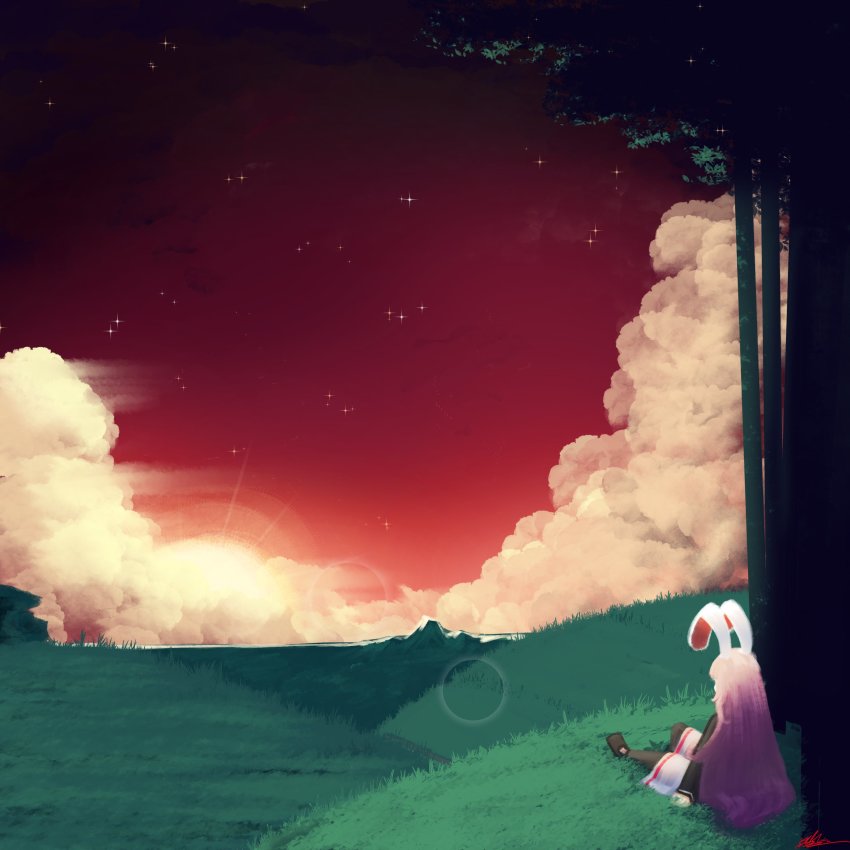 Sample image