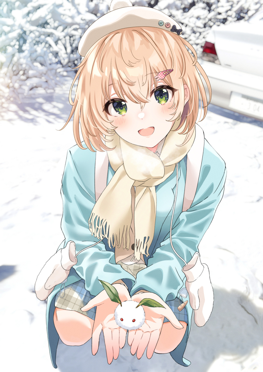 Sample image