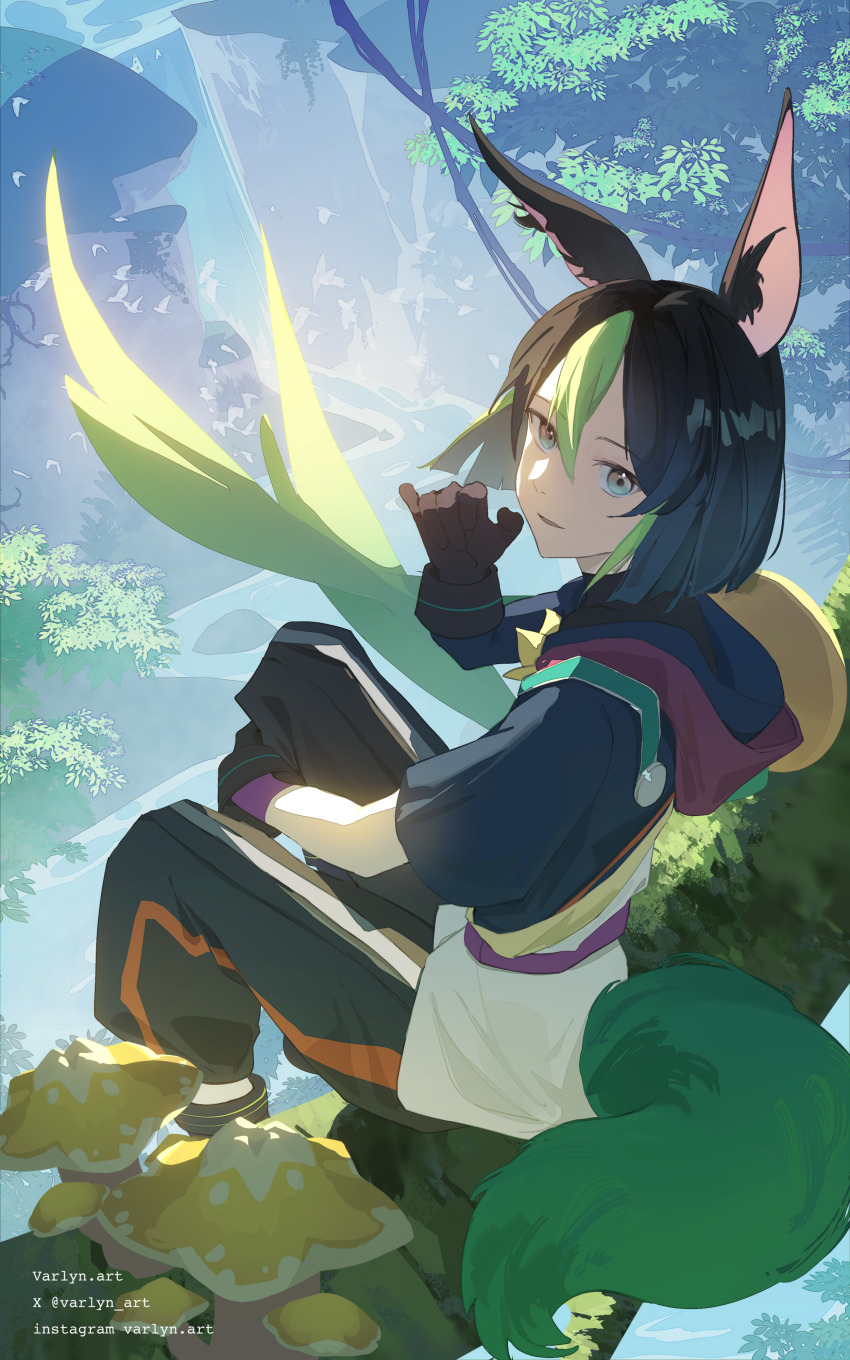 Sample image