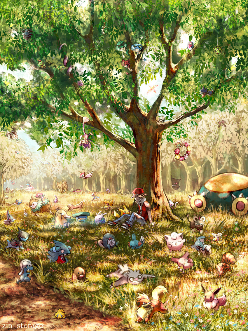 Sample image
