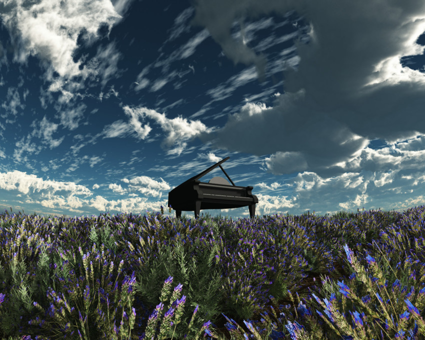 Sample image