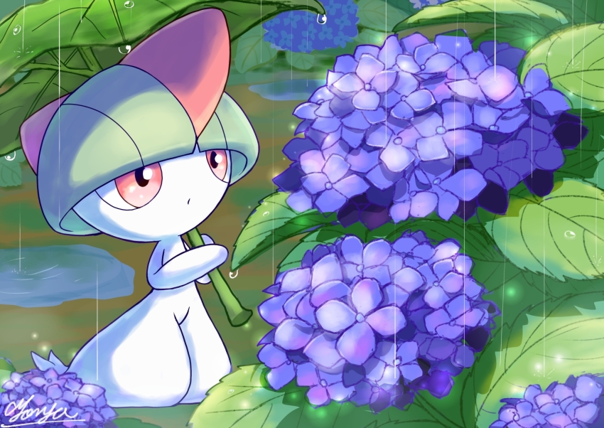 Sample image