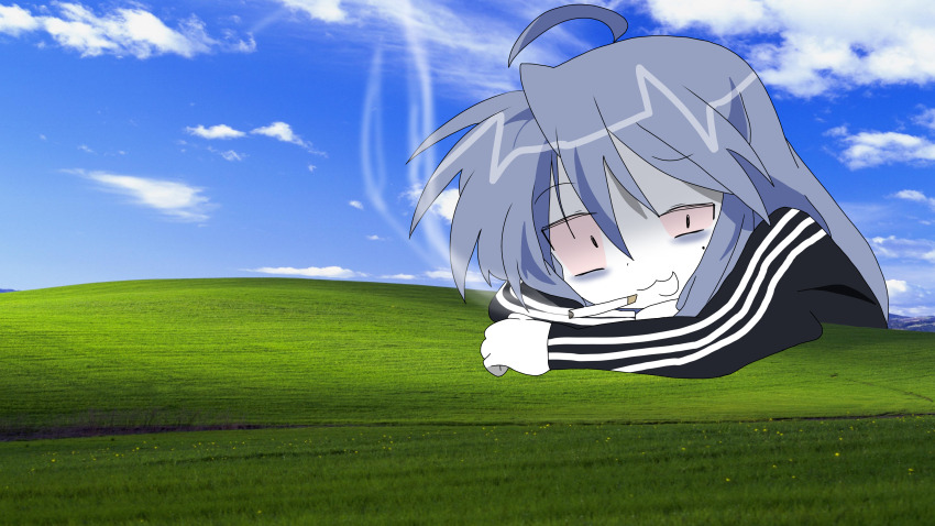 Sample image