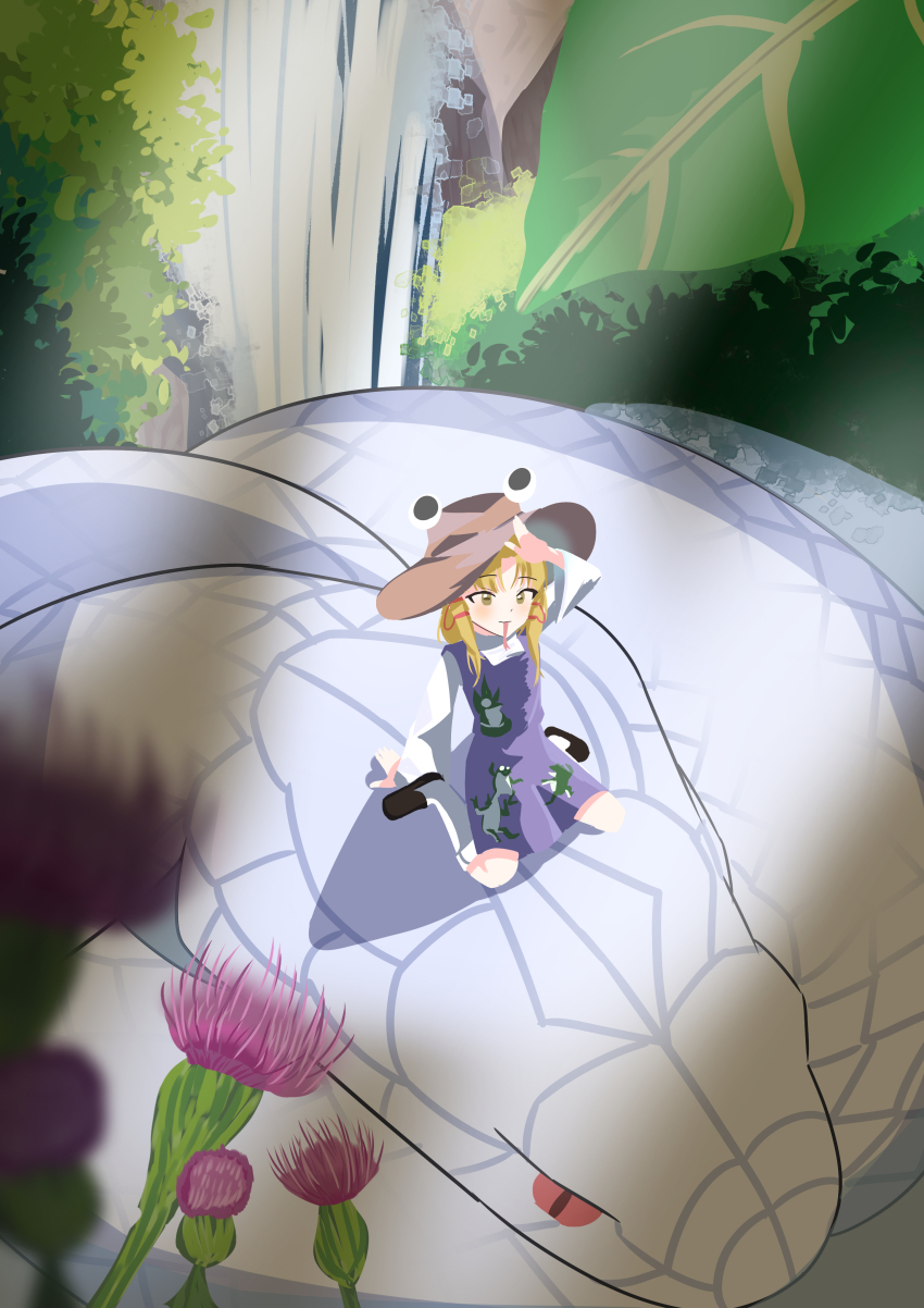 Sample image