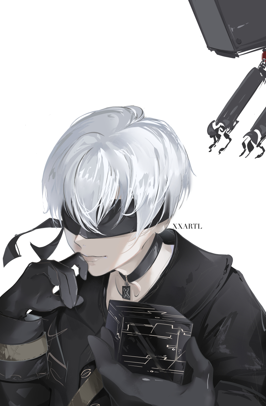 Sample image