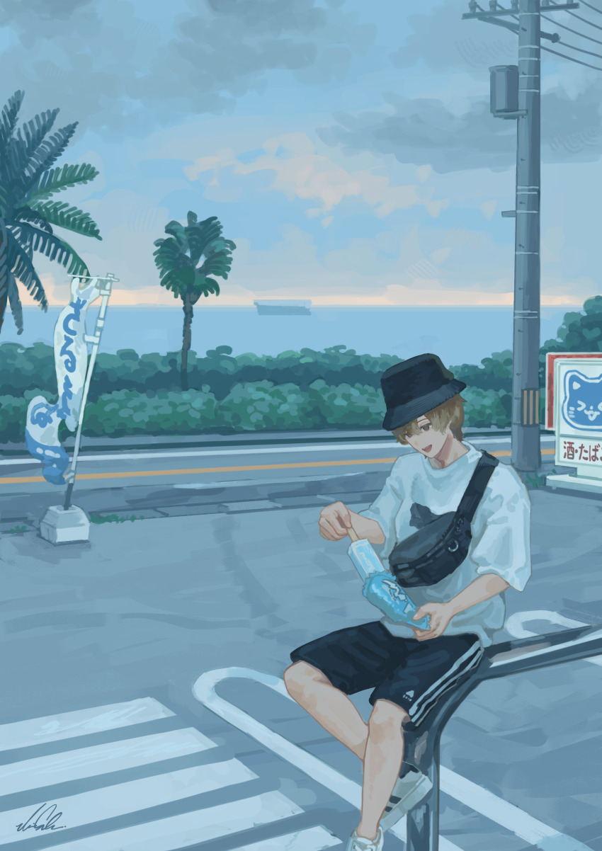 Sample image