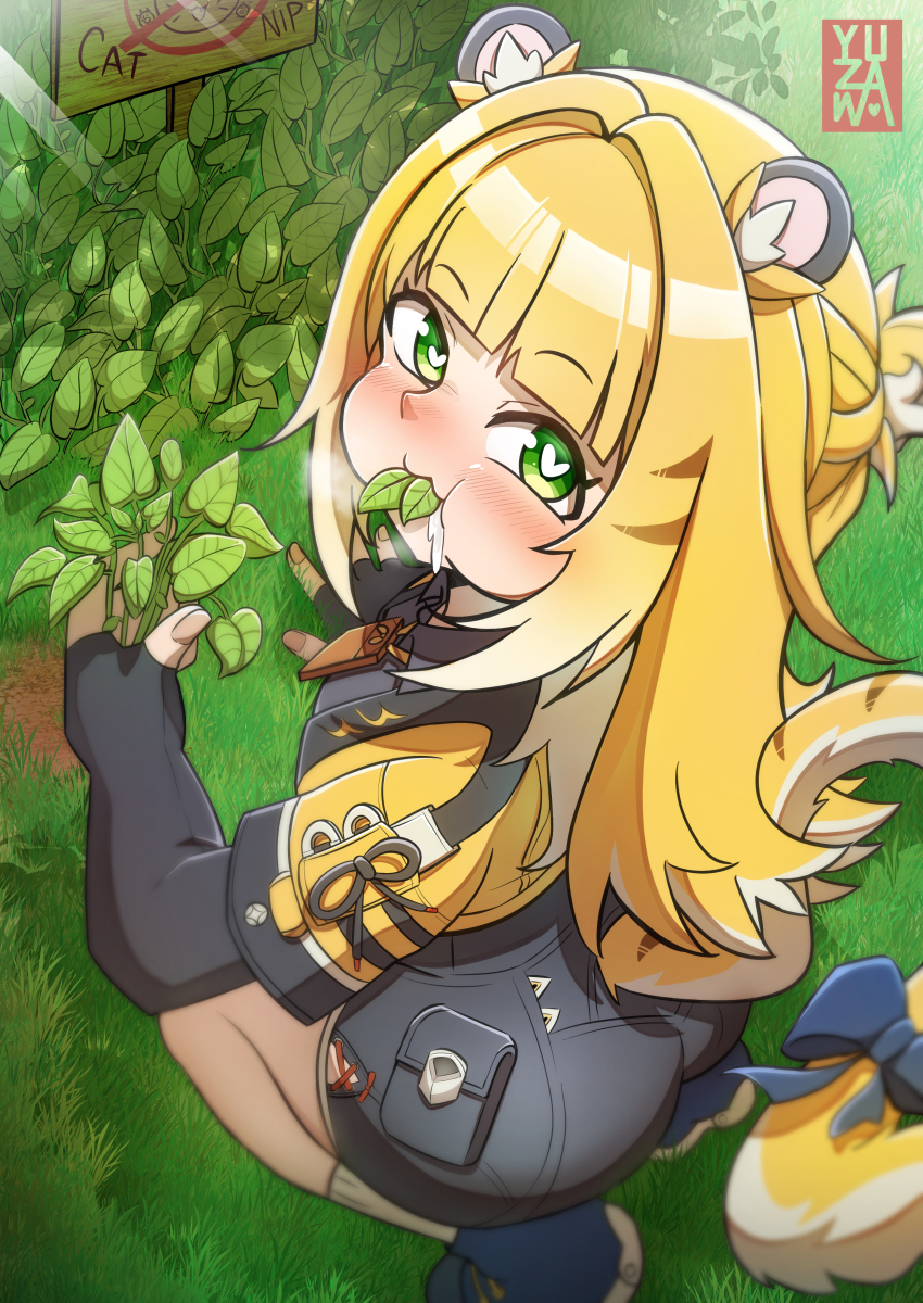 Sample image