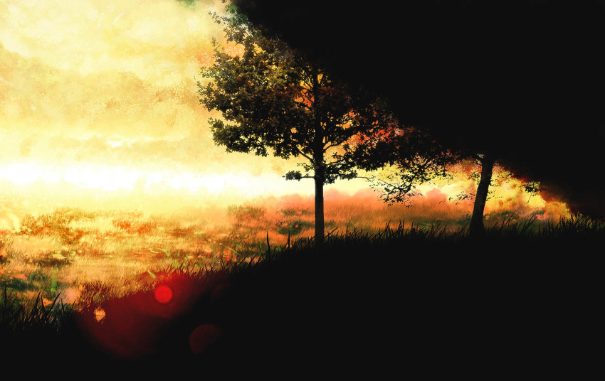 Sample image